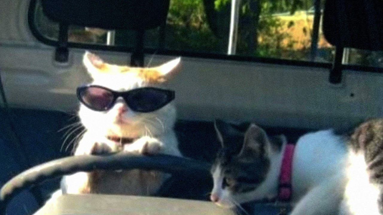 gangnam style - psy (speed up) смотреть онлайн