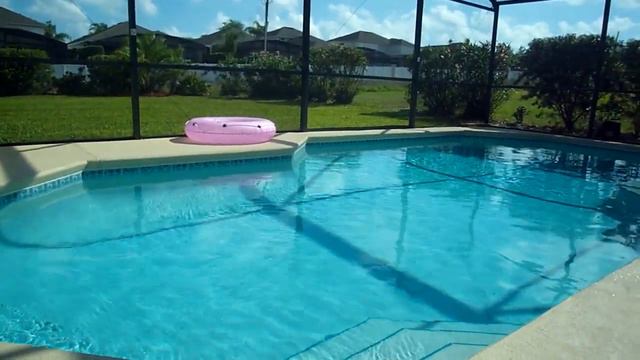 Palm Trees Pool and Garden смотреть онлайн