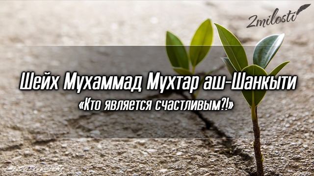 Кто является счастливым - Шейх Шанкыти - Озвучка смотреть онлайн