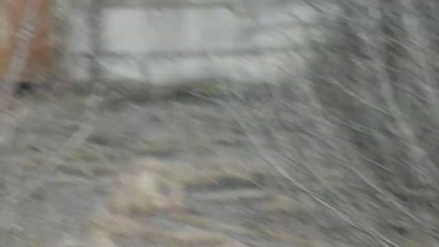 Fujifilm Finepix S4500. Пример видео