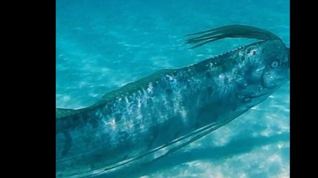 Top 5 SCP apollyon más peligrosos смотреть онлайн