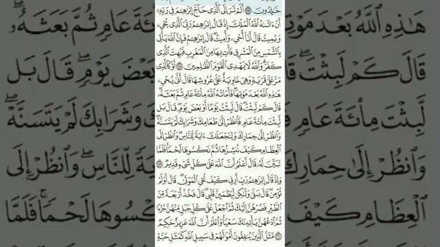 Quran Tafseer Surah 2. Al-Baqara 258-260: By Dr. Farhat Hashmi (Urdu) смотреть онлайн