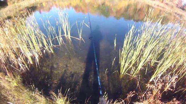 Lure Fishing #85 - Berkley Gulp Minnow Jig Fishing for Pond Crappie and River Walleye