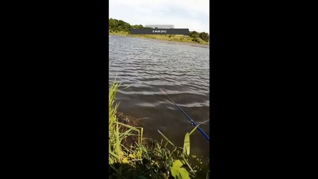 рыбалка на поплавок на городском озере смотреть онлайн