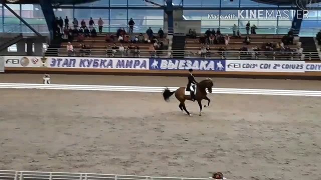 Believer || /\_/\ ☆ Equestrian version☆ /\_/\ смотреть онлайн
