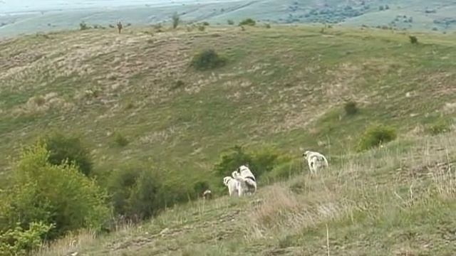 Засечка 2 смотреть онлайн