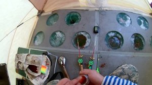 Зимняя рыбалка на сига.Техника ловли и результат порадовал.