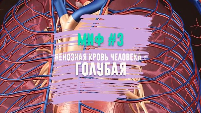 Топ 5 исторических заблуждений и мифов о нашем мире | Мир Мифов смотреть онлайн