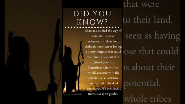 Animal Spirit Oracle messages смотреть онлайн