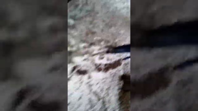 Раскрыли тайну века где живёт саня смотреть онлайн