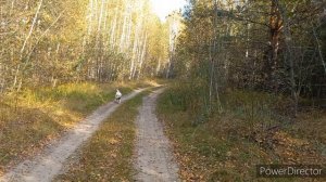 За Грибами?с Любимым_ОН не способен на сбор грибов,утопила в пруду отправила домой_Грибы появились