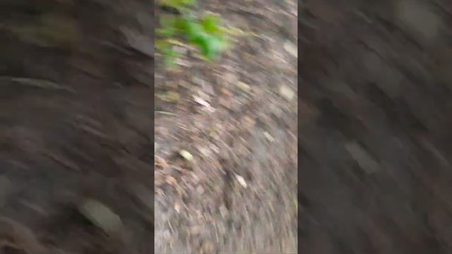 Мост на речке убля смотреть онлайн