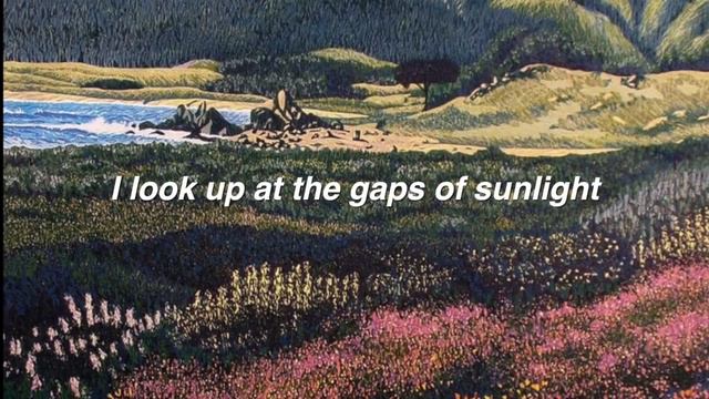 Francis Forever - Mitski (lyrics) смотреть онлайн