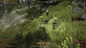 Black Desert - Как приручить лошадь