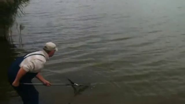 Как правильно работать подсачеком смотреть онлайн