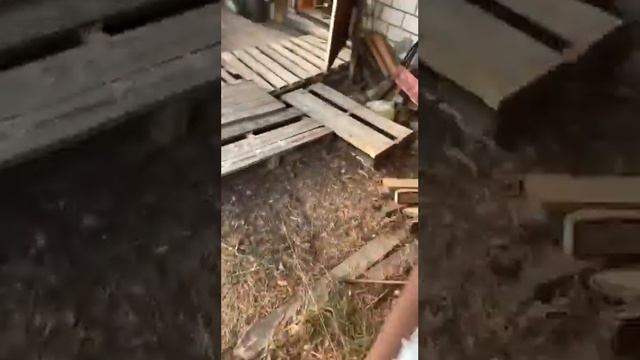 Шикарный участок с дачным домиком и интегрированной баней высокого класса. смотреть онлайн