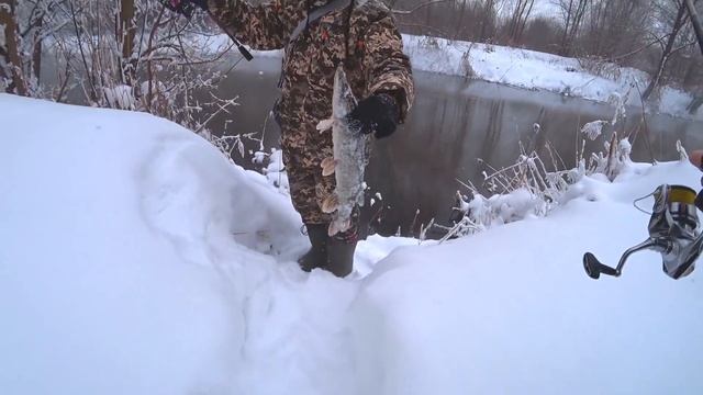 ПРЕД-ВЕСЕННИЙ СПИННИНГ! Рыбалка в камыше! Лёгкий и микроджиг! Трудности зимы 2021 года! Окунь, щука смотреть онлайн