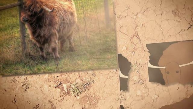 Як. Животное Две Буквы. Детям О Животных смотреть онлайн