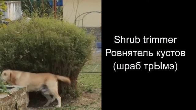 Описание видео на английском