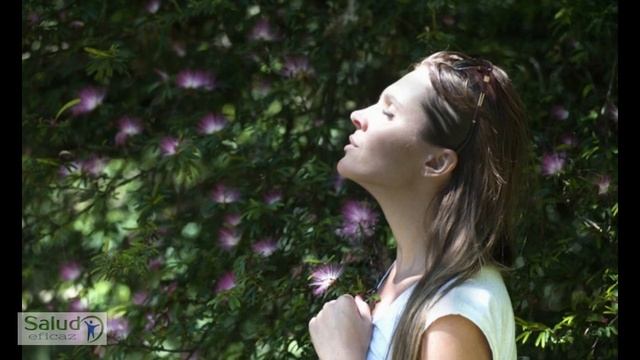 Musica para meditar profundamente ♫ 2 horas de Música Relajante смотреть онлайн