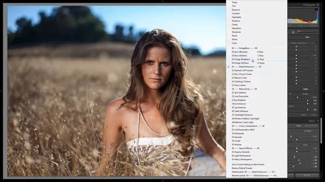 Learning the Brush Presets in the Lightroom 4 Preset System смотреть онлайн