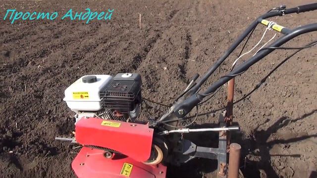 Посадка картофеля под мотоблок и маленькие советы