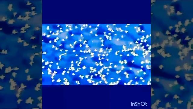 Мухаммад Али - Легенда Бокса - ??????✊? смотреть онлайн