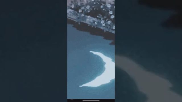 DI KAYA (perl, jp) смотреть онлайн