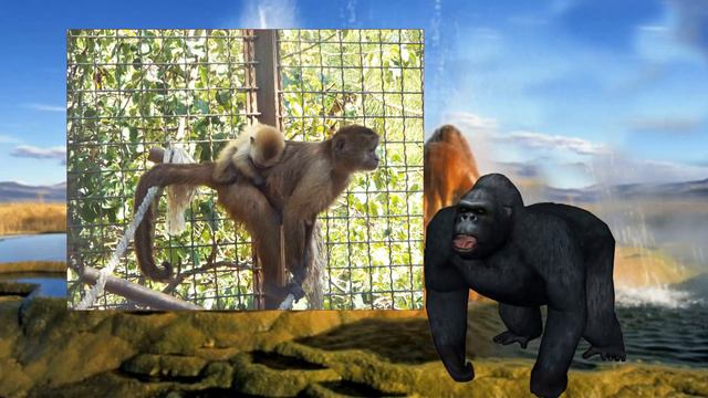 Сафари парк Тайган смотреть онлайн