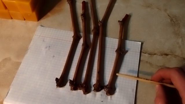 Подготовка черенков винограда к укоренению. смотреть онлайн