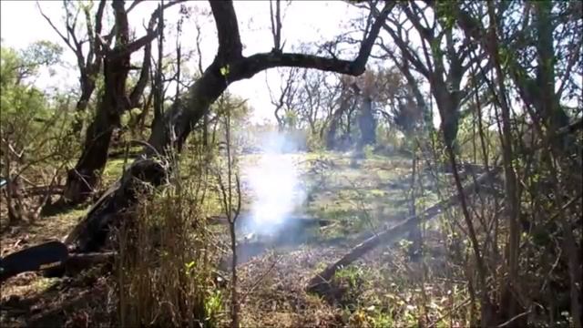 Por Esto No Debes Andar Solo Por Las Islas Del Rio Paraná смотреть онлайн