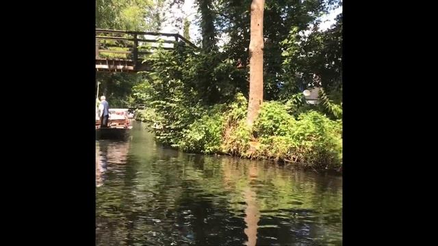 Шпреевальд. Водные дороги Люббенау. смотреть онлайн