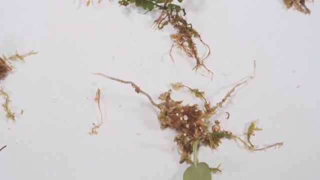 BEST Propagation Method I've Ever Used ( EASY ) смотреть онлайн