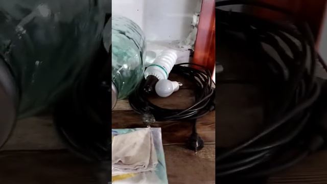 Отзыв покупателя о покупке "попугая на банку" смотреть онлайн