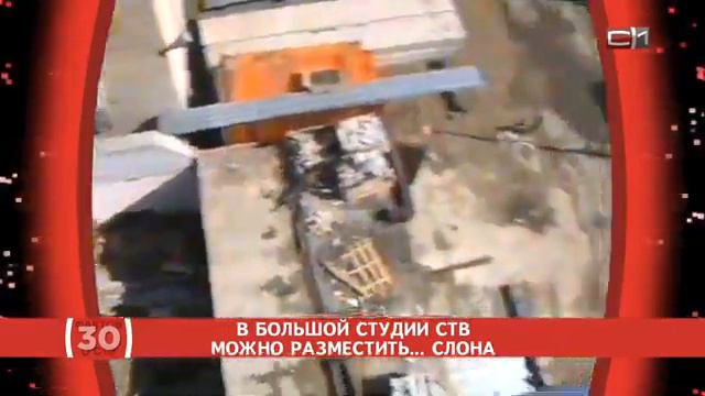 В большой студии СТВ можно разместить… слона смотреть онлайн
