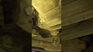 Диагностика муфты Haldex