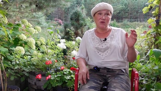 Отвечаем на вопросы о голубике смотреть онлайн