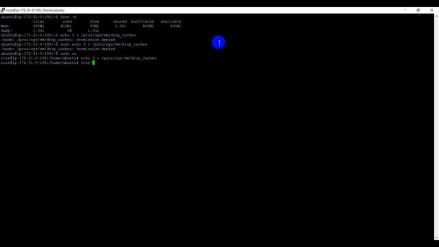 How to Clear Cache and Swap Space in Ubuntu/Linux смотреть онлайн