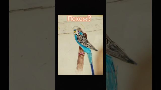 ??Реальность VS Рисунок?? смотреть онлайн