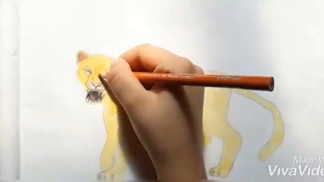 Как нарисовать ЛЕОПАРДА смотреть онлайн