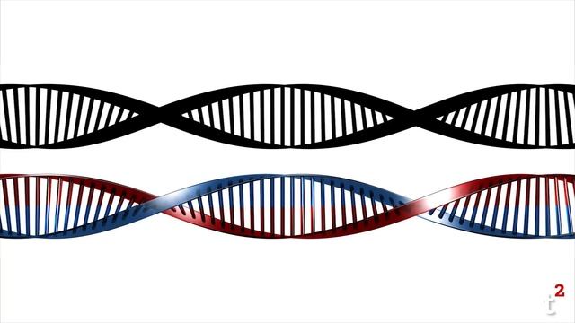 Surprising Facts About: Twins смотреть онлайн