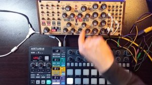 5 MOOG SUBHARMONICON FACTORY PATCHES 🎛 with Reactions and Effects // Moog Subharmonicon Tutorial