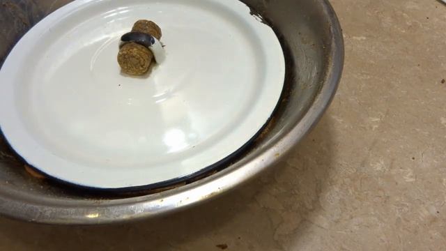 Билтонг по-свински смотреть онлайн