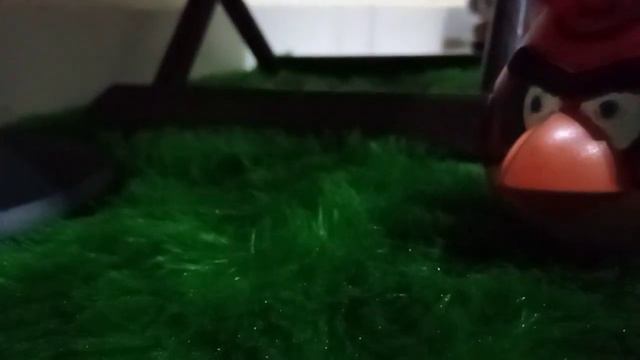 Angry Birds Super Adventures! Season 1 Episode 1: Stolen Eggs! смотреть онлайн