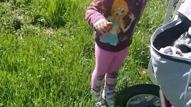 Пикник и день рождение батюшки смотреть онлайн