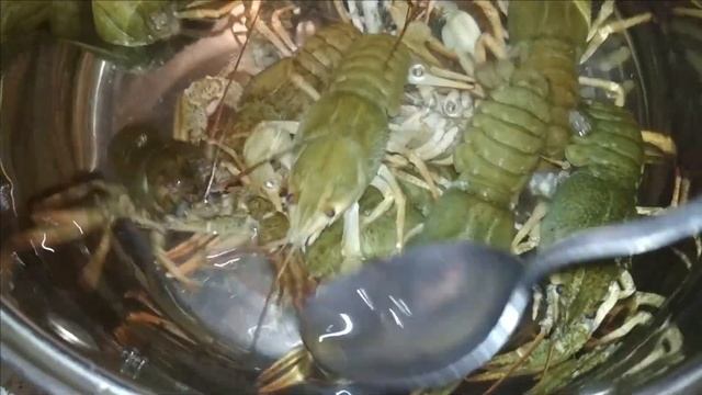 Закупка продуктов. Сколько тратим денег на продукты. Дикси. Ашан. Вилла. ( декабрь 2020 ) смотреть онлайн