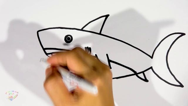 How to Draw A Shark Drawing|Animals|Fun Colour Art смотреть онлайн
