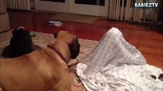 "Собаки и дети - "Большие игры" 2015 NEW смотреть онлайн