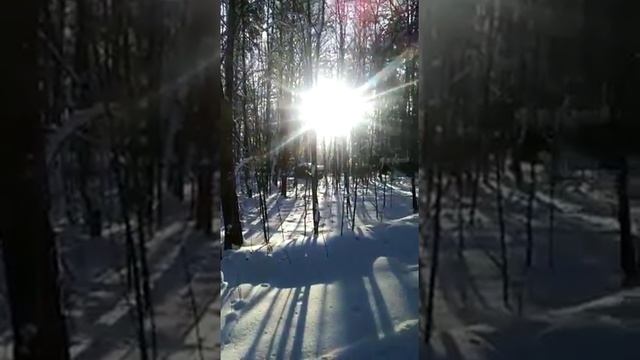 Инженерно геологические изыскания на объекте г. Мытищи, д.Юрьево , 18.01.2021 смотреть онлайн
