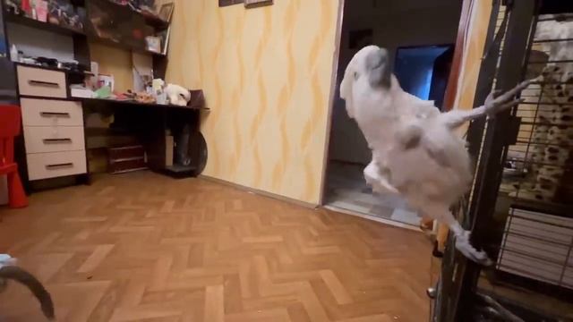 Люся собрала все фрукты и СПРЯТАЛА ИХ у Влада, нам с Ангелиной не доверяет! смотреть онлайн